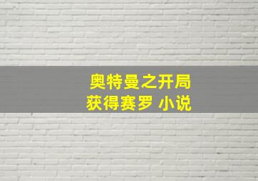 奥特曼之开局获得赛罗 小说